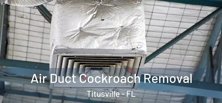 Air Duct Cockroach Removal Titusville - FL