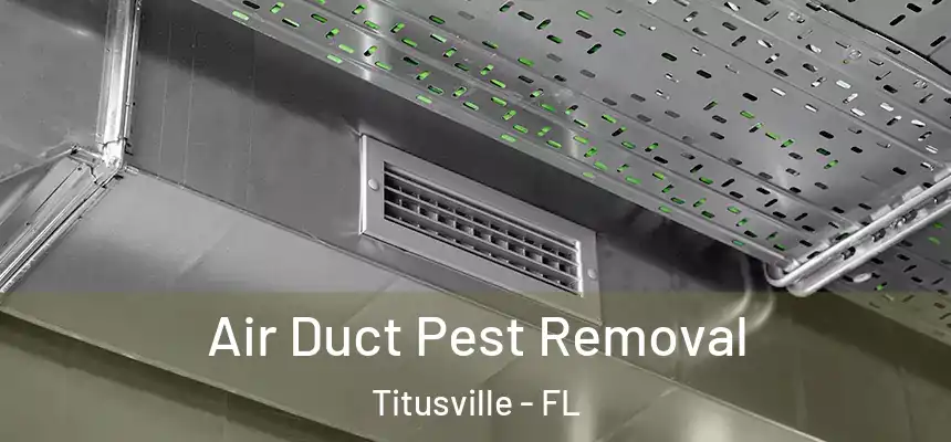 Air Duct Pest Removal Titusville - FL