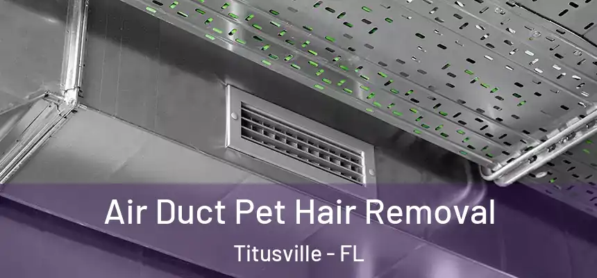 Air Duct Pet Hair Removal Titusville - FL