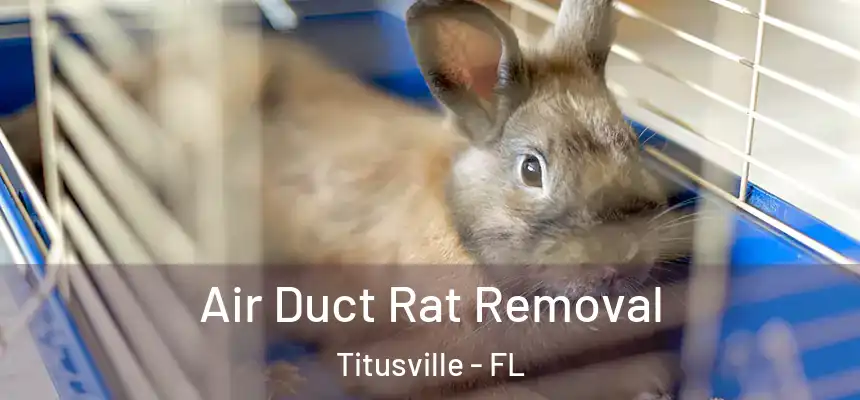 Air Duct Rat Removal Titusville - FL
