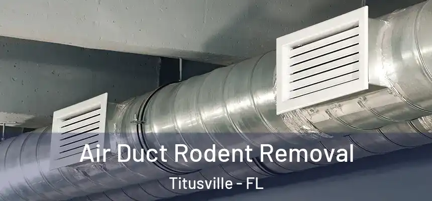 Air Duct Rodent Removal Titusville - FL