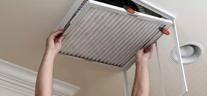 Preventive Cockroach-Proofing for Ducts in Titusville