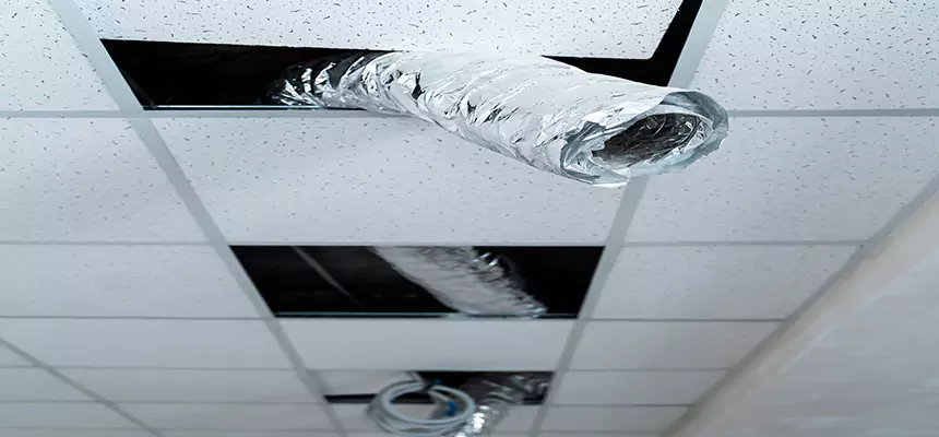 Affordable HVAC Sanitizing After Pest Removal in Titusville