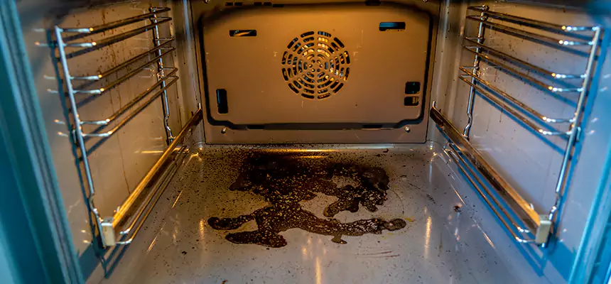 Our Dryer Vent Mold Cleaning Services in Titusville, FL