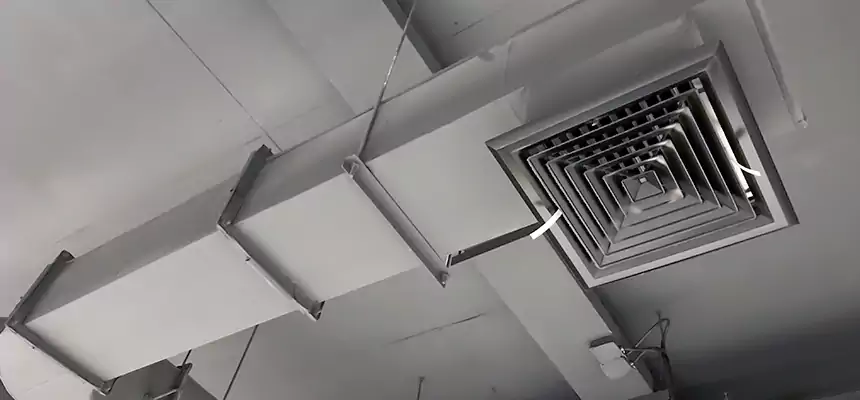 Our Pest Removal From Ducts Services in Titusville, FL