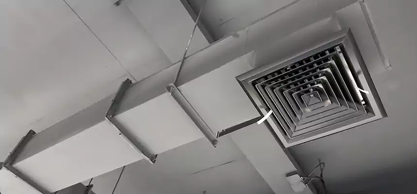 Our Rodent Droppings In Vents Services in Titusville, FL