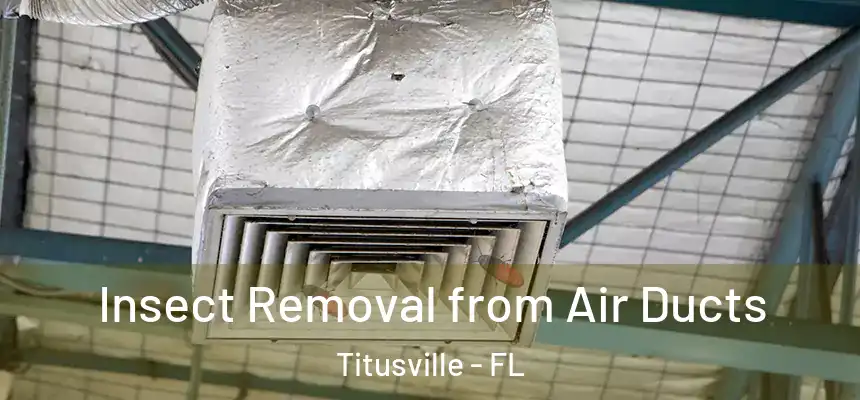 Insect Removal from Air Ducts Titusville - FL