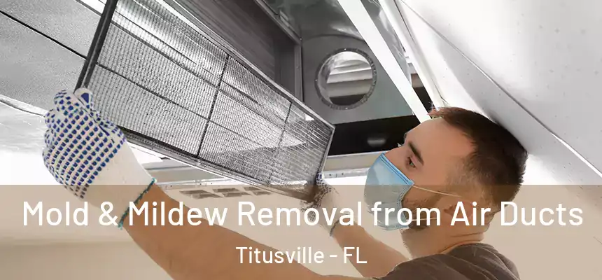 Mold & Mildew Removal from Air Ducts Titusville - FL