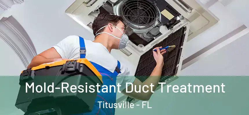 Mold-Resistant Duct Treatment Titusville - FL