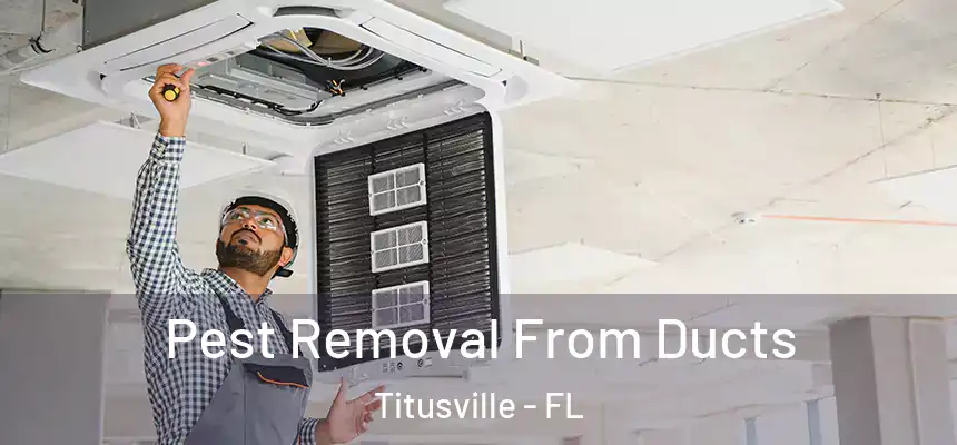 Pest Removal From Ducts Titusville - FL