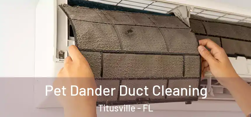 Pet Dander Duct Cleaning Titusville - FL