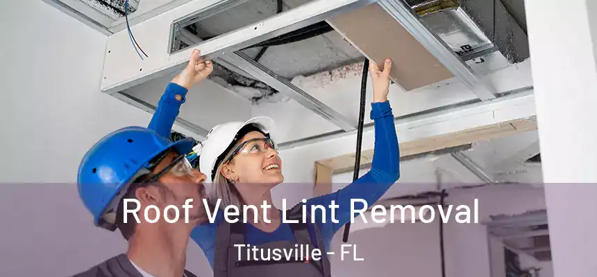 Roof Vent Lint Removal Titusville - FL