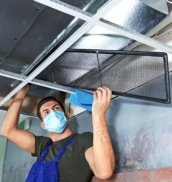 About Air Duct Bacteria Removal in Titusville