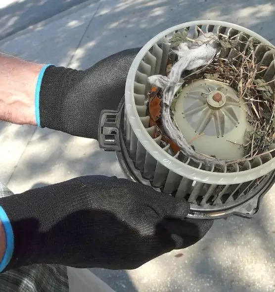 About Air Duct Mice Removal in Titusville, FL