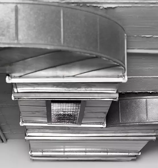 Professional Air Duct Pest Removal in Titusville, FL