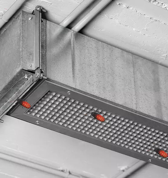 Affordable Insect Removal from Air Ducts in Titusville, FL