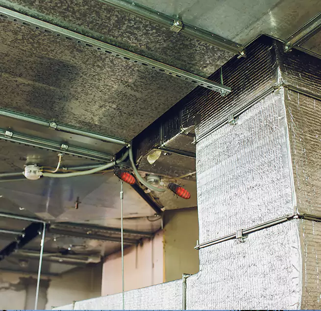 Why Homeowners & Businesses Trust Us in Titusville, FL?