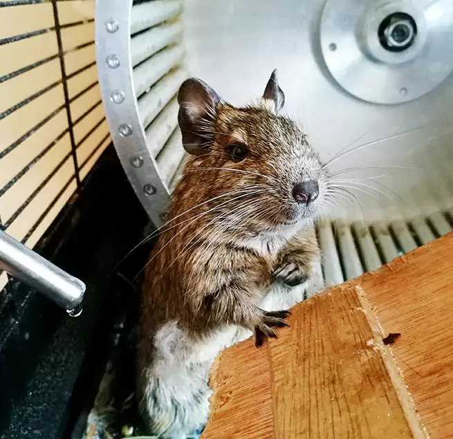 Why Homeowners & Businesses Trust Us Titusville, FL?