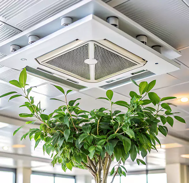 Why Homeowners & Businesses Trust Us in Titusville, FL?